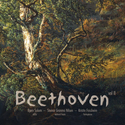 午夜激情在线观看
